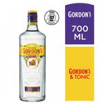 GIN-GORDON-S-x-700CC