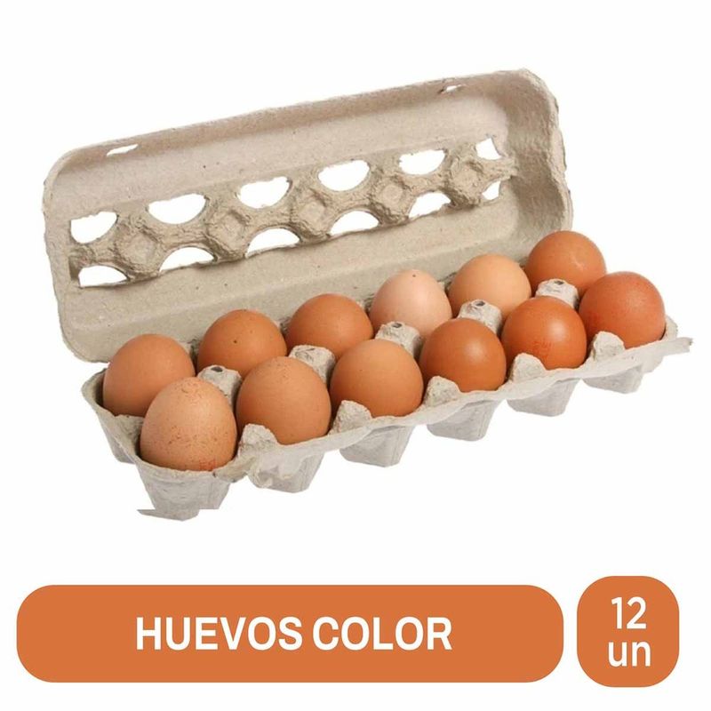 Huevos-Ponedoras-Sur-Color-x-12un