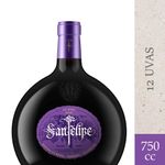 Vino-Sauvignon-San-Felipe-12-Uvas-x-750cc