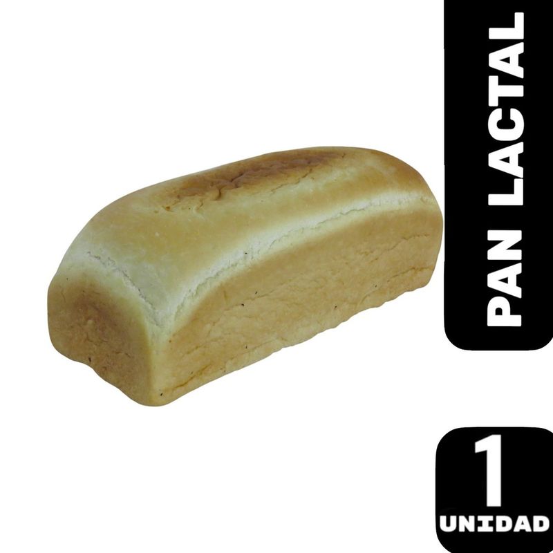 Pan-Lactal-Supertop-x-1un