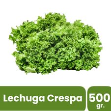 Lechuga Crespa x 500gr